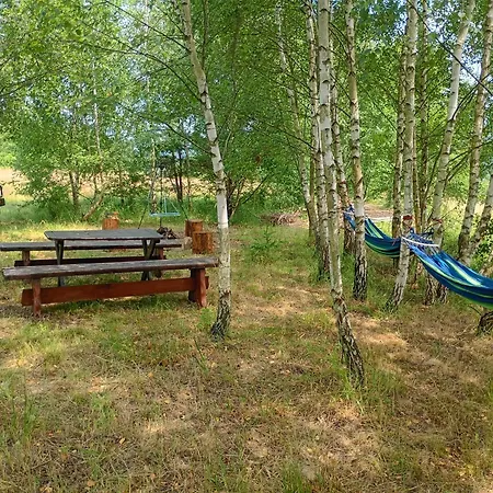 I Stokrotka Apartment