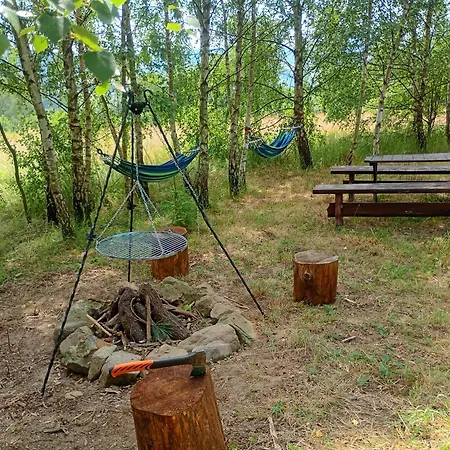 Apartment I Stokrotka
